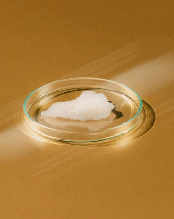 Soft Landing — Gentle Cleansing Milk